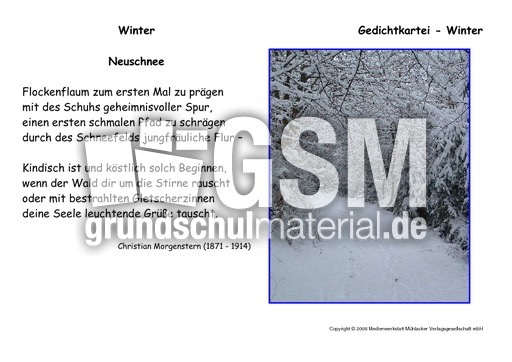 Neuschnee-Morgenstern.pdf
